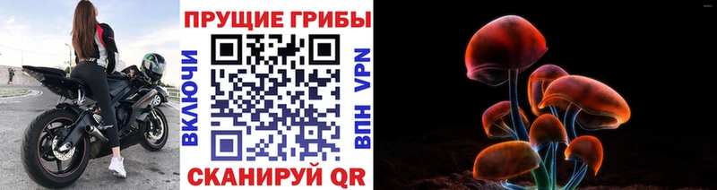 наркошоп  shop клад  Псилоцибиновые грибы Psilocybe  Тюкалинск  мега ONION 